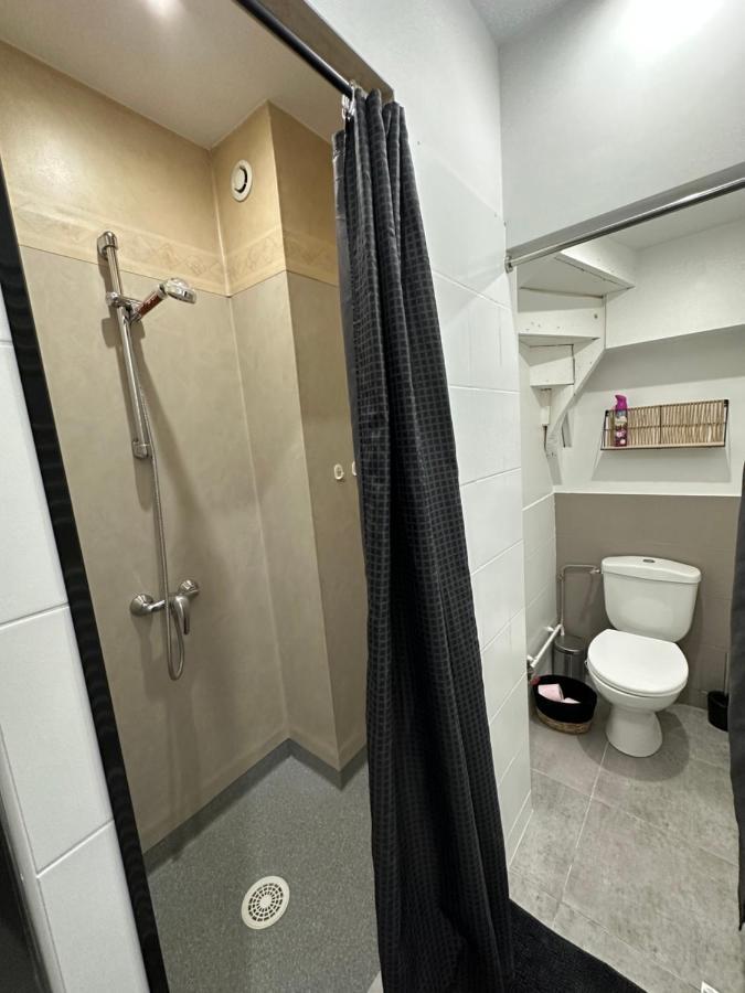 Appartement Avec Terrasse Au Puy Le Puy-en-Velay Eksteriør billede