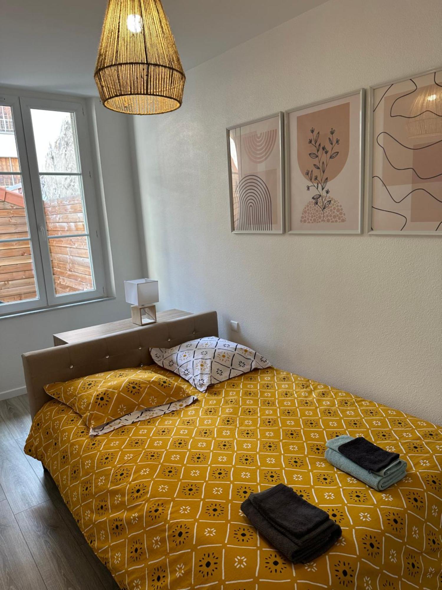 Appartement Avec Terrasse Au Puy Le Puy-en-Velay Eksteriør billede